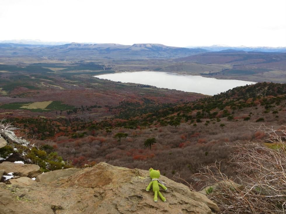 Vista de la Laguna Galletué desde un mirador