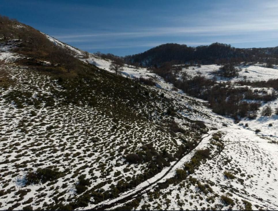 Laderas nevadas con un camino interior