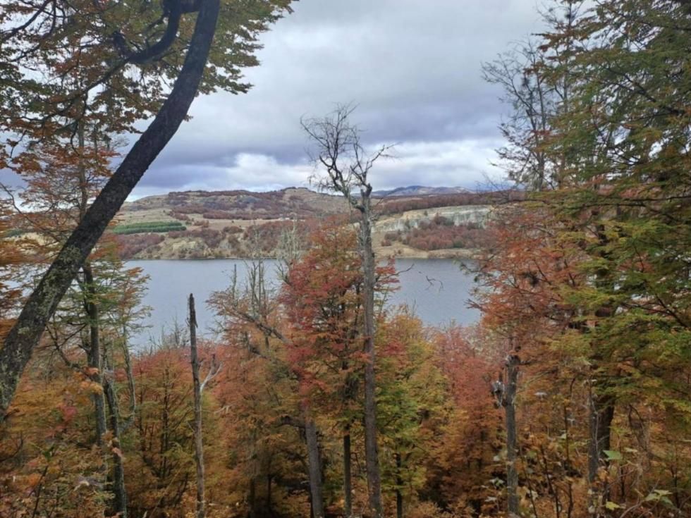 Bosque de lengas en otoño sobre el Lago Pollux
