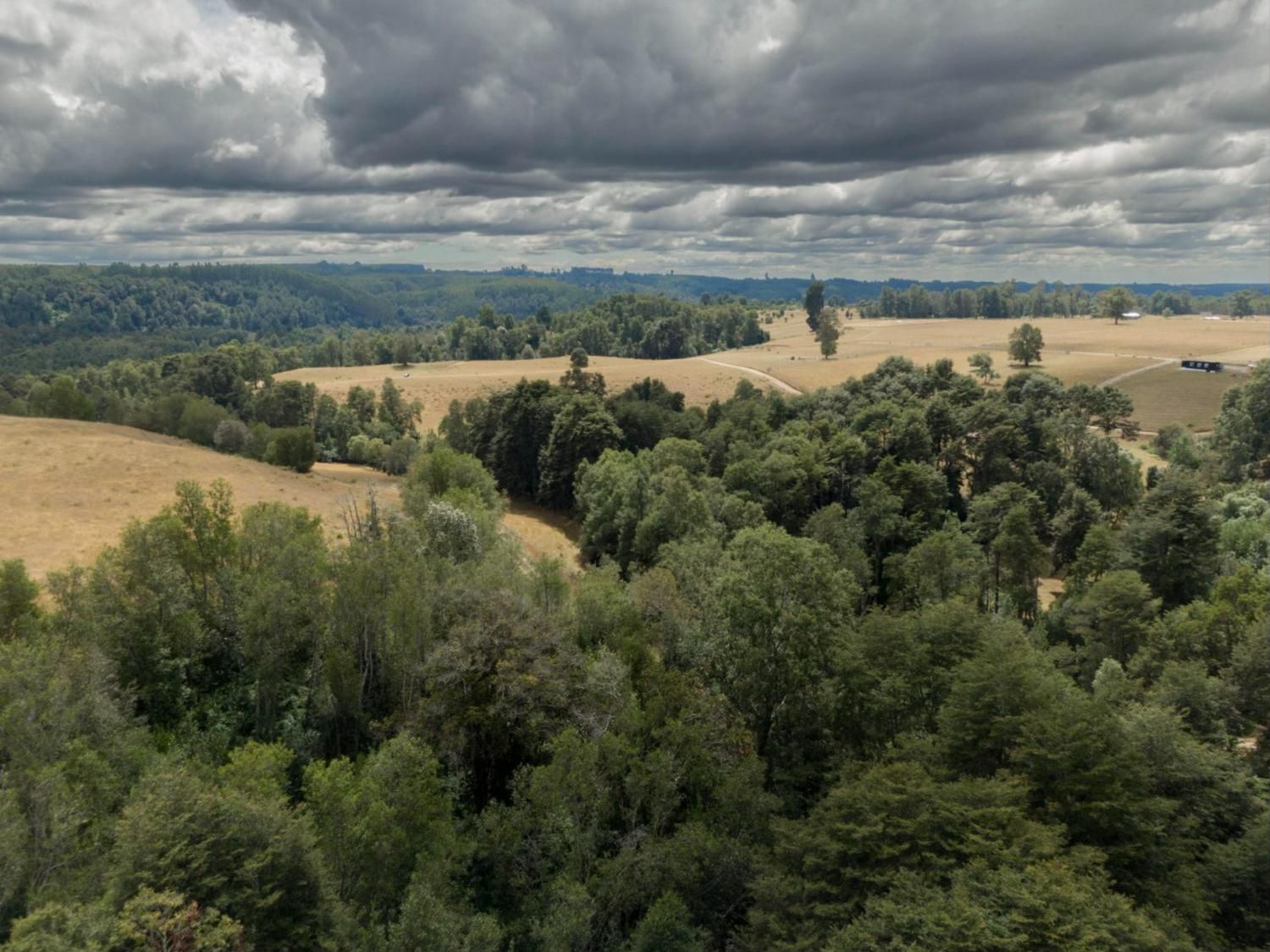 Praderas y bosque nativo en Tegualda, Región de Los Lagos