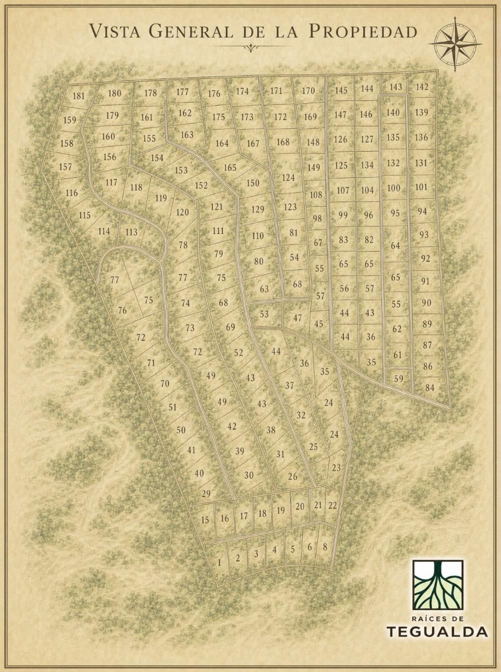 Plano ilustrado de loteo de Raíces de Tegualda